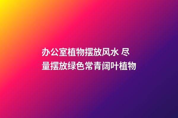 办公室植物摆放风水 尽量摆放绿色常青阔叶植物
